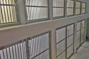 Готель для тварин