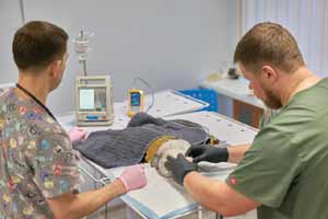 Ветеринарна стоматологія Vetden