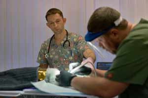 Ветеринарна стоматологія Vetden