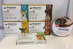 товари для тварин