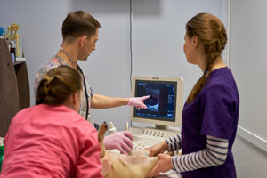 УЗД діагностика