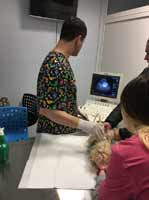 УЗД діагностика